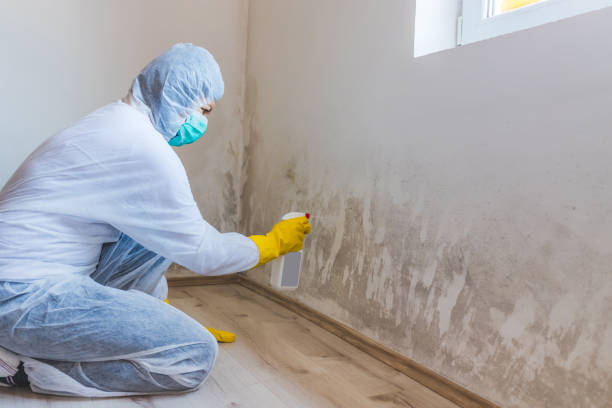 Licensed Mold Testing service in Lakewood, NJ - WQB Mold Removal