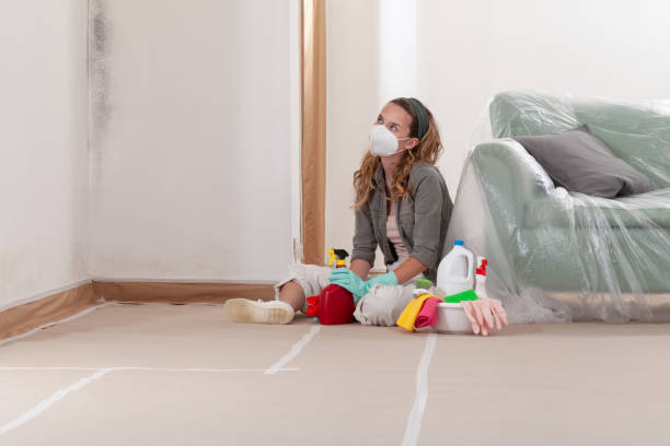 Reliable Mold Testing contractor in Lakewood, NJ by WQB Mold Removal